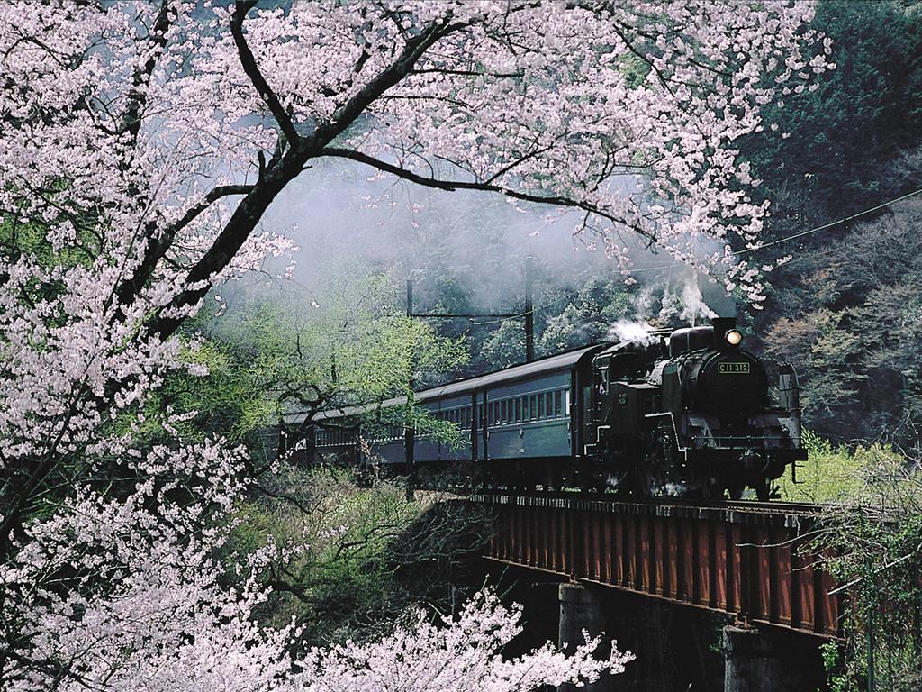 Suikoen Hotel Shizuoka Bagian luar foto