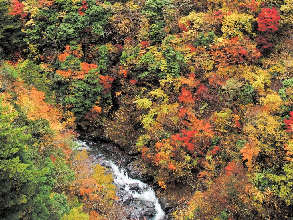 Suikoen Hotel Shizuoka Bagian luar foto