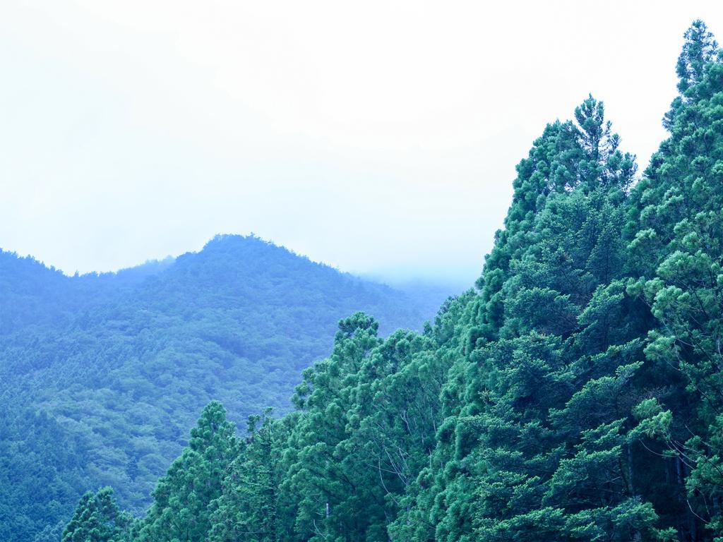 Suikoen Hotel Shizuoka Bagian luar foto